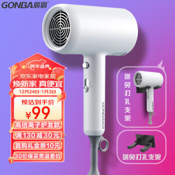 GUANGBA 廣霸 电吹风机家用网红低辐射护发负离子孕妇儿童可用大功率造型冷热吹风筒 高倍离子 1600W 芷白