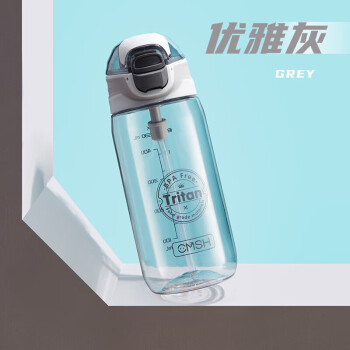 Beisesi 贝瑟斯 Tritan水杯带吸管杯子男女生运动户外水杯 优雅灰530ML