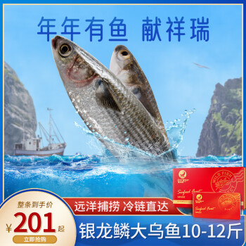 星河湾 海鲜礼盒大鱼礼盒10斤-12斤银龙鳞大乌鱼春节送礼年货礼盒年夜饭