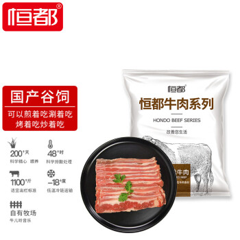 HONDO 恒都 国产煎烤涮肥牛片250g/袋*2 共500g 冷冻 火锅食材 煎炒烧烤食材