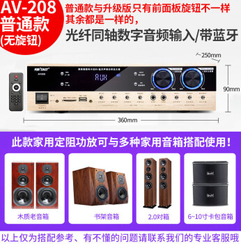 SAST 先科 功放机家用蓝牙专业音响分区定阻定压公放音箱5.1迷你小型广播电脑功率放大器 AV-208 普通版