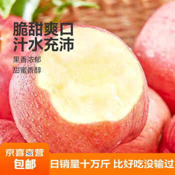 華北強 华北强陕西红富士苹果净重3斤装中大果75mm