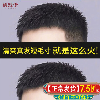 BESTUNG 佰丝堂 四季款假发男 短发全真发