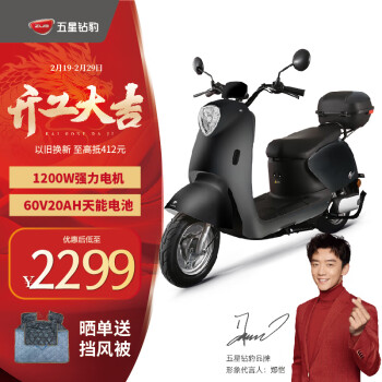 ZUB 五星钻豹 电动车成人60V20A长续航电动摩托1200W电瓶车G1星幕灰/合金白