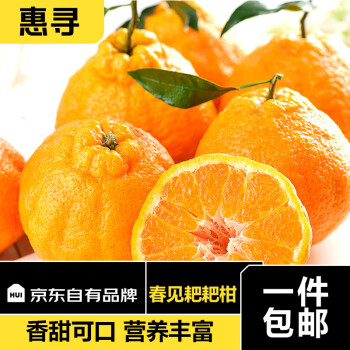 惠寻 春见耙耙柑2粒装果径70起