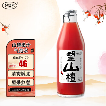 HOPE WATER 好望水 望山楂 经典山楂饮料气泡水 0脂肪果汁汽水 300ml*6瓶整箱
