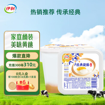 yili 伊利 宫酪 经典凝酪风味酸乳 黄桃卡曼橘风味 800g