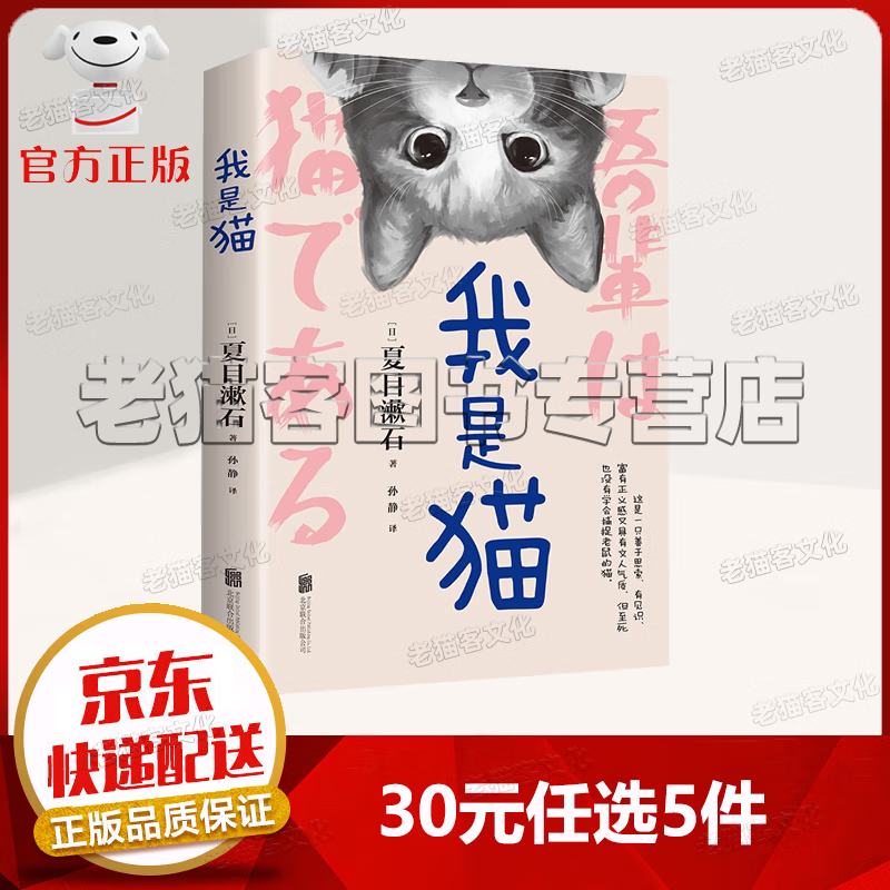 我是猫 日本文学巨匠夏目漱石成名作 外国长篇小说 经典文学 世界名著 1元
