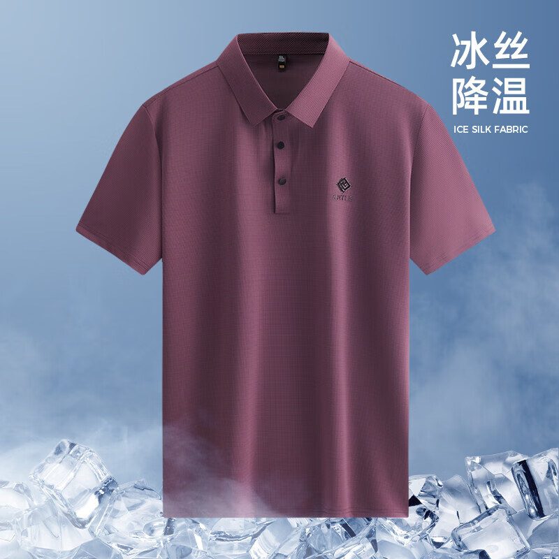 罗冠 2024夏季冰丝POLO衫高端男士短袖T恤商务2024新款中年爸爸夏装上 券后89元