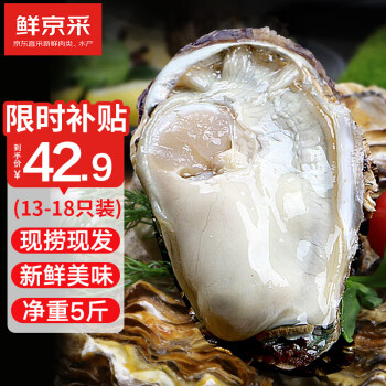 移动端：鲜京采 生蚝5斤 3XL 13-18只装 源头直发 露营烧烤