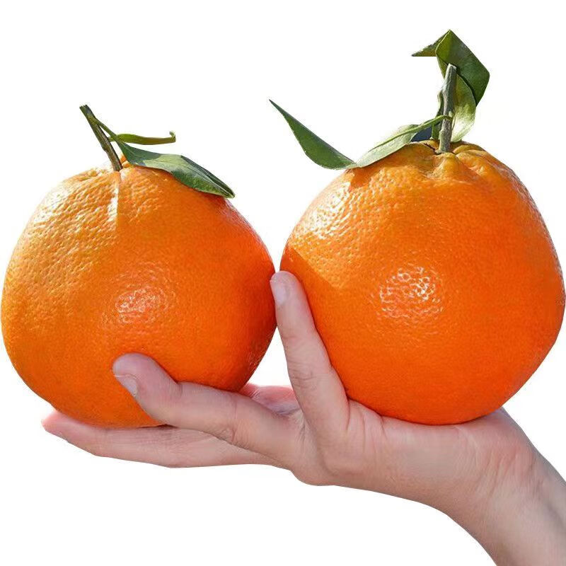 一级果 果径80mm+ 特大果 四川春见耙耙柑 4.5斤装 17.98元(需买2件,需用券)