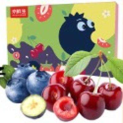 百亿补贴：京鲜生云南蓝莓15mm4盒装125g/盒+JJ级车厘子5斤礼盒【跨晚明星同款】 167.11元（需领券）