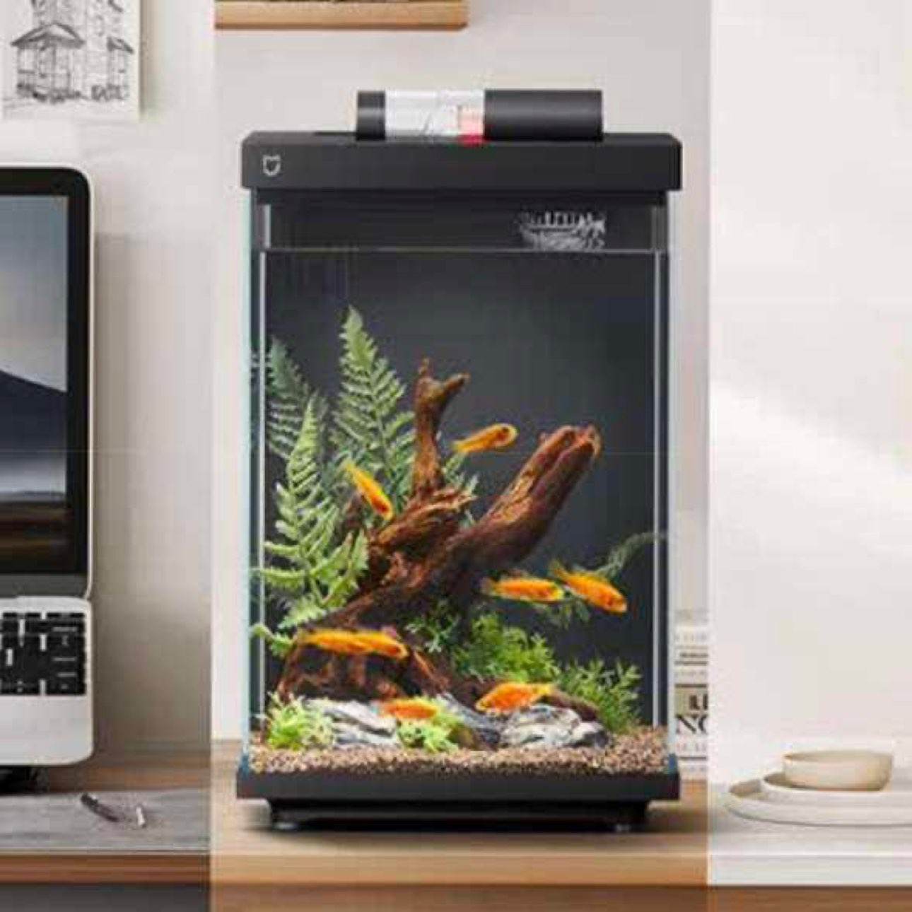 再降价,PLUS:米家智能桌面鱼缸小米生态鱼缸小型智能专业背滤一体缸自循环 264.05元