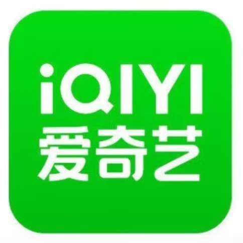 爱奇艺vip会员1年卡12个月  110元