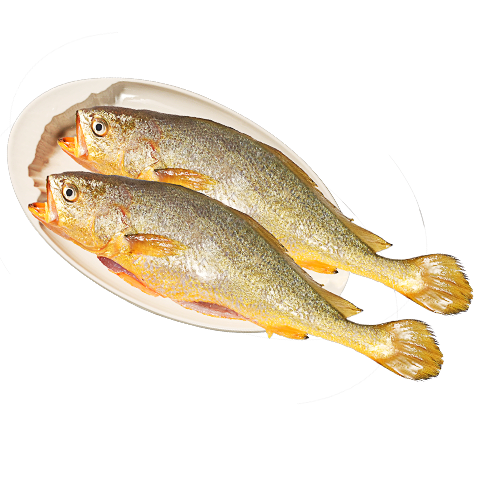 需首单:黄小渔 三去黄花鱼 1750g/5条 66.9元包邮