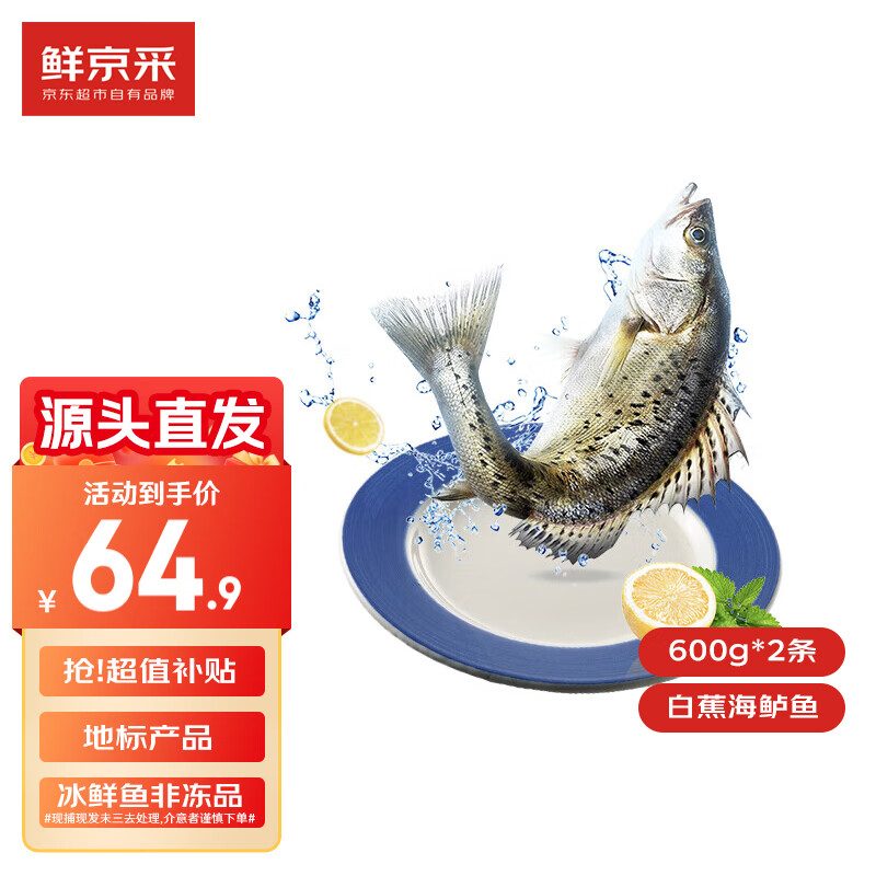 鲜京采 冰鲜白蕉海鲈鱼2条装(共2.4斤) 地标产品 源头直发 ￥64.9