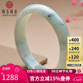 可玉可求 冰底翡翠玉镯 女款飘花冰种手镯 玉石手镯 约58毫米