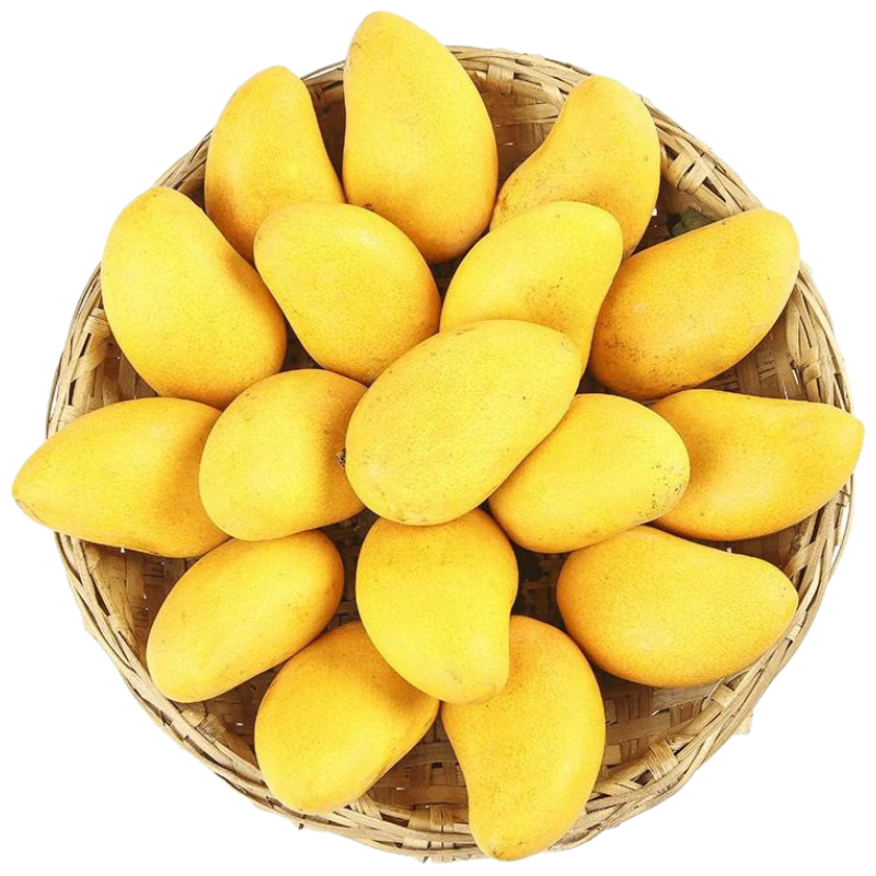 plus会员：京觅 小台农芒果 3斤单果80-100g 新鲜当季水果 甜芒果 源头直发 19.6元