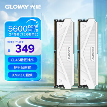 光威 24GB(12GBx2)套装 DDR5 5600 台式机内存条 天策系列 XMP&EXPO 适配黑神话悟空