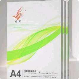 A4打印纸复印纸20张 2元（弹券0.1元）