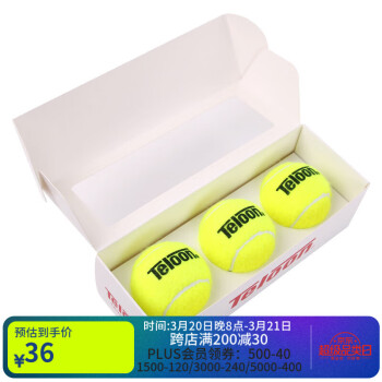 天龙 Teloon 网球带线带绳单人训练回弹训练器 T818C-3 三粒装