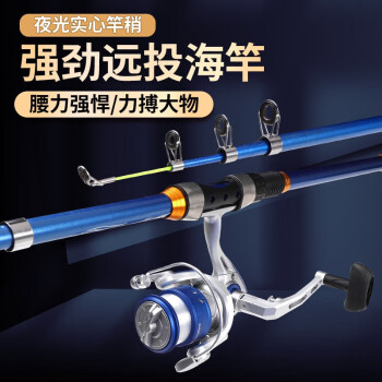 泰戈 Taigek 2.7米海竿套装远投抛竿甩竿钓鱼竿海杆海钓竿渔具缠线轮套装
