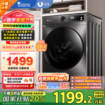 小天鹅 TG100APUREPRO 变频波轮洗衣机 10kg