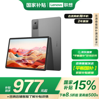 联想 Lenovo 小新Pad 2024 舒视版 11英寸护眼柔光大屏 电纸书阅读学习平板8+128G灰
