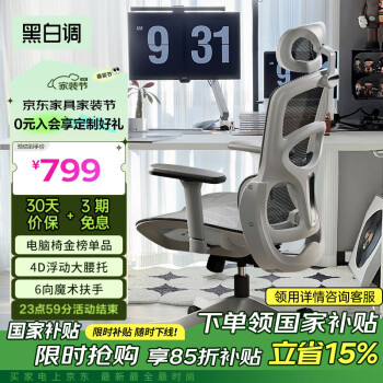 黑白调 P2 Pro人体工学椅电脑椅
