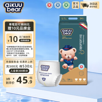Classic Teddy 精典泰迪 金芯呵护系列 拉拉裤 L54片