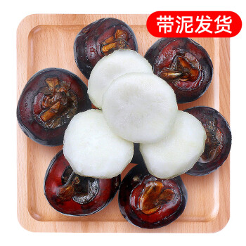 青沃 京鲜生 青沃广西马蹄 5斤装 新鲜荸荠 蔬菜