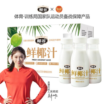 椰谷 YEGU 椰谷 鲜椰汁 245g*12支装