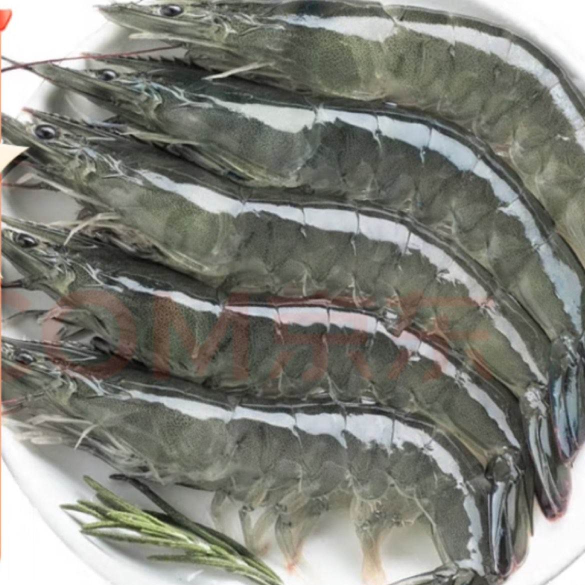 沃鲜汇 虾 厄瓜多尔白虾 大青虾 生鲜 虾类 海鲜水产 30/40规格 1.65kg(净重)  61元（需领券）