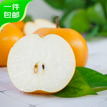 京鲜生 青青大地莱阳秋月梨一级果净重4斤8-10粒单果180g 源头直发包邮