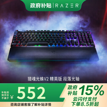 雷蛇 猎魂光蛛 精英版 104键 有线机械键盘 黑色 雷蛇紫轴（段落光轴） RGB