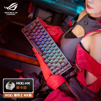 玩家国度 ROG 魔导士 68键 2.4G双模无线机械键盘 黑色 ROG NX 摩卡棕轴 RGB