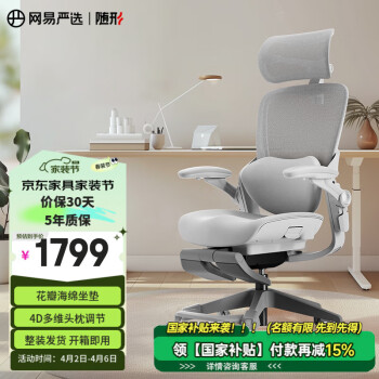 网易严选 探索家系列 人体工学椅 玛瑙灰 LADY款