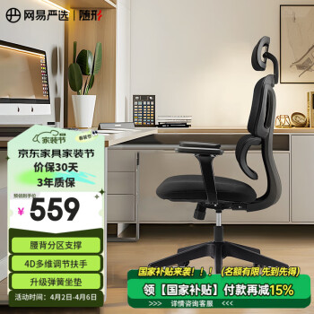 网易严选 小蛮腰双背人体工学椅 S5PRO 黑色无搁脚