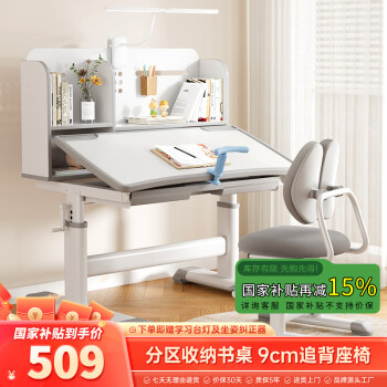 尊眠 ZUNMIAN 儿童书桌学习桌椅套装小户型家用可升降 智远款 灰色 分区收纳 移动追背 灰