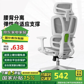 有谱 ERGOUP V1 人体工学椅电脑椅