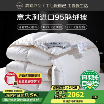 OBXO 源生活 95鹅绒被 1200g 200*230cm
