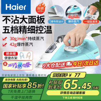 海尔 Haier YD1618 电熨斗 蓝色