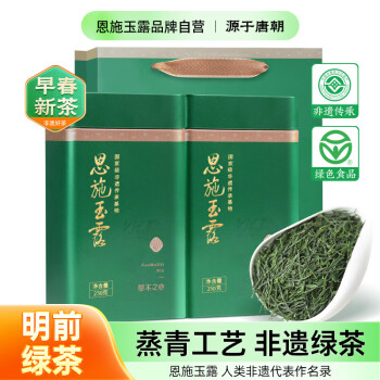 移动端、京东百亿补贴：恩施玉露 ENSHIYULU 绿茶 富硒茶 250g*2