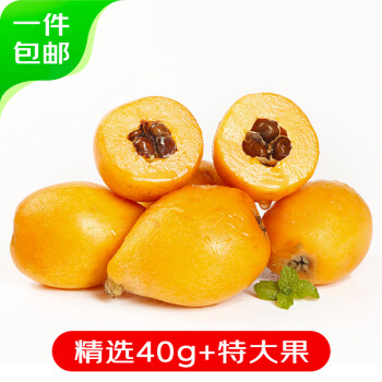 京鲜生 福建云霄枇杷 净重1斤 单果40g+ 新鲜水果 源头直发包邮