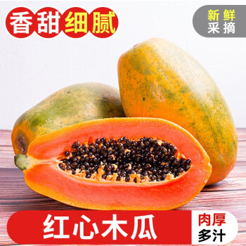 探味君 TANWEIJUN 海南红心木瓜 4.5斤