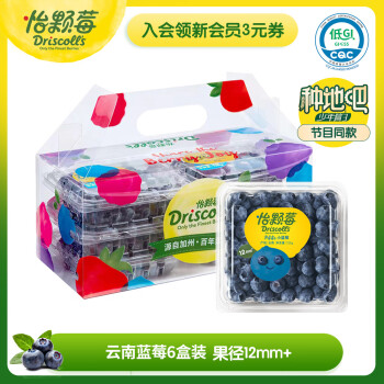 Driscoll's 怡颗莓 当季云南蓝莓12mm+ 6盒装 125g/盒 生鲜水果