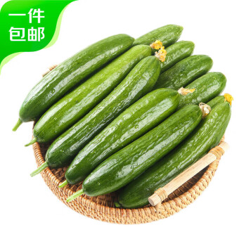 移动端：京百味 山东水果小黄瓜 2.5kg装