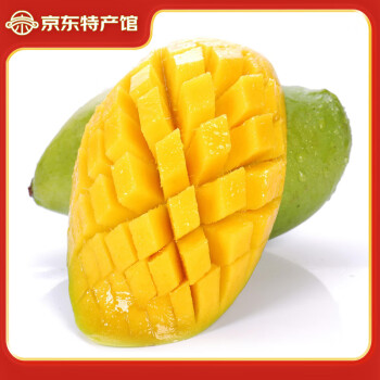 静益乐源 云南玉芒芒果 净重4.5斤单果300-500g