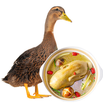 华英 赣南散养生态麻鸭 1.25kg/袋 鄱阳湖游水鸭