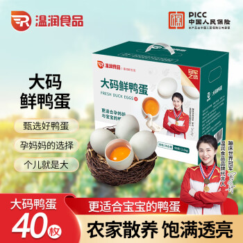 温润 食品大码鲜鸭蛋40枚/5.2斤